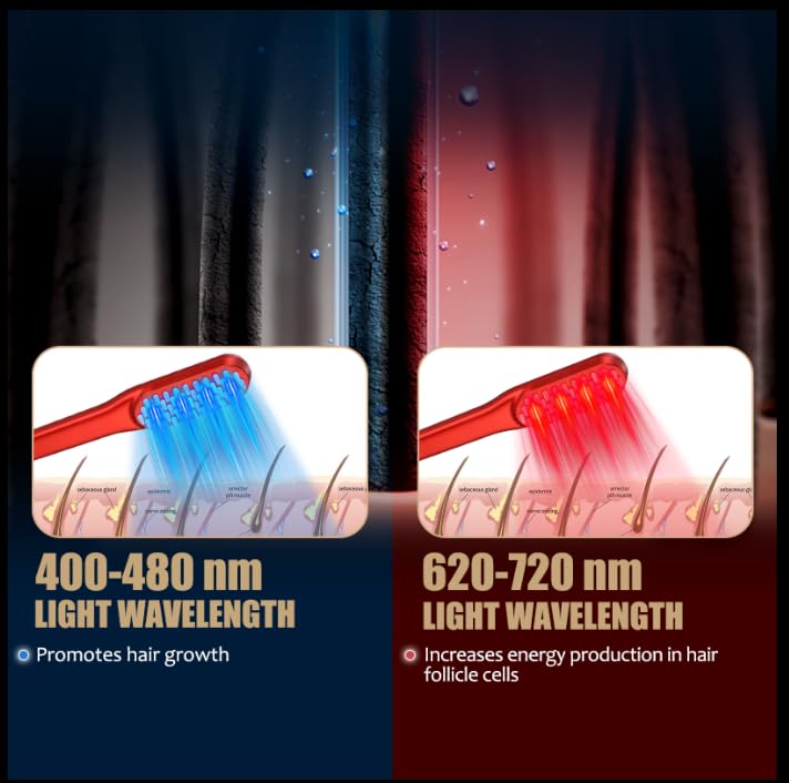 Peine Láser para el Crecimient - Industrial Laser Beam reseña y precio